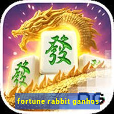 fortune rabbit ganhos