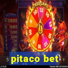 pitaco bet