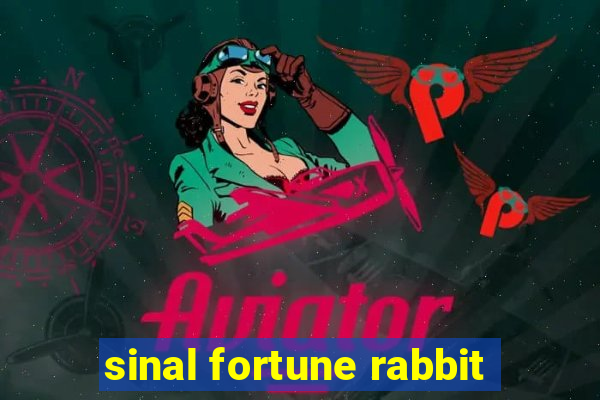 sinal fortune rabbit