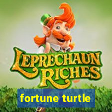 fortune turtle