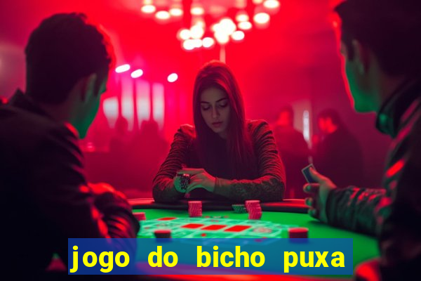 jogo do bicho puxa de dona maria