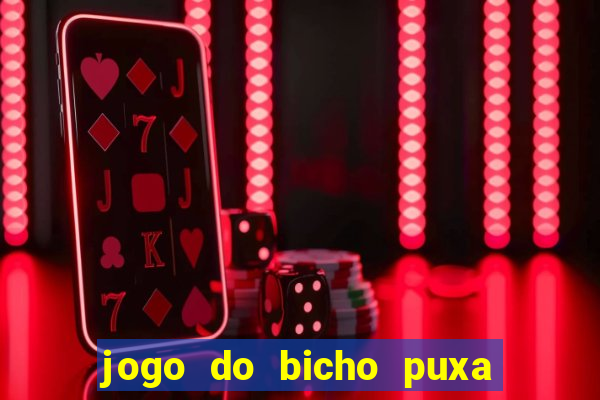 jogo do bicho puxa de dona maria