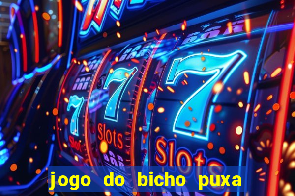 jogo do bicho puxa de dona maria