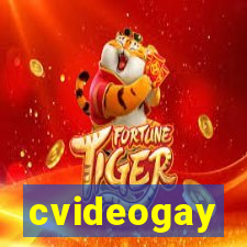 cvideogay