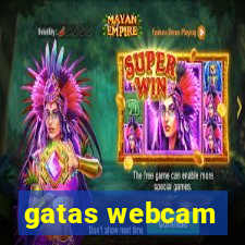 gatas webcam