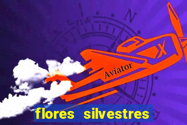 flores silvestres desbravadores desbravadores 25