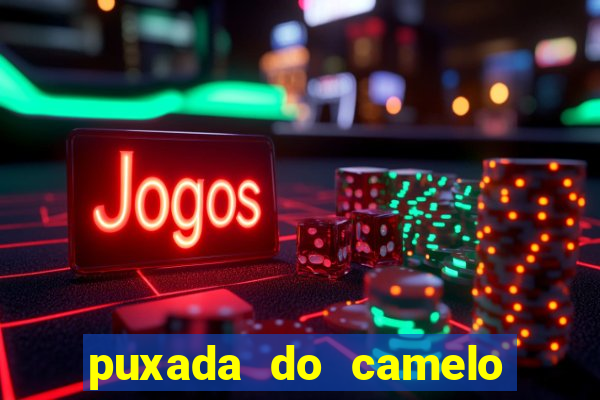 puxada do camelo no jogo do bicho