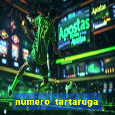 numero tartaruga jogo do bicho