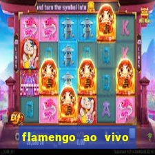 flamengo ao vivo multi canais